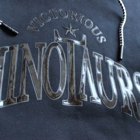 *SOLD*NikeLab x Riccardo Tisci Victorious Hoodie - Picture 11 of 15